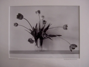 Kurt's and Gary's Tulips by Harvey Ferdschneider - purchased at the Upstairs Gallery in about 1988